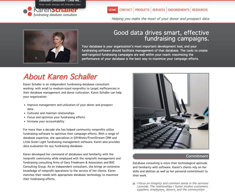 Karen Schaller – Fundraising Database Consultant
