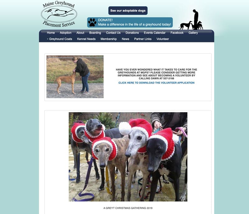 Maine Greyhound Placement Service