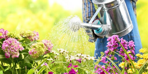 Put an End to Blogging Boredom