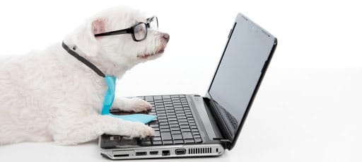 10 Tips On Finding The Best Web Design Agency In Maine