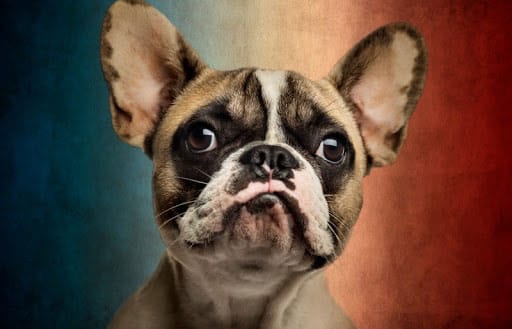 Tips for Recovering From a Google Search Engine Penalty