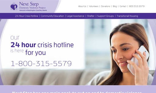 Next Step Domestic Violence Project