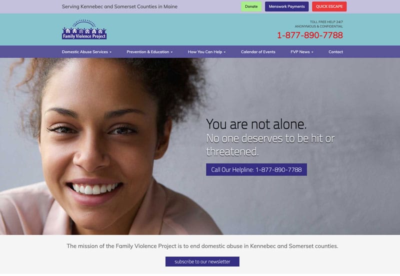 The Family Violence Project