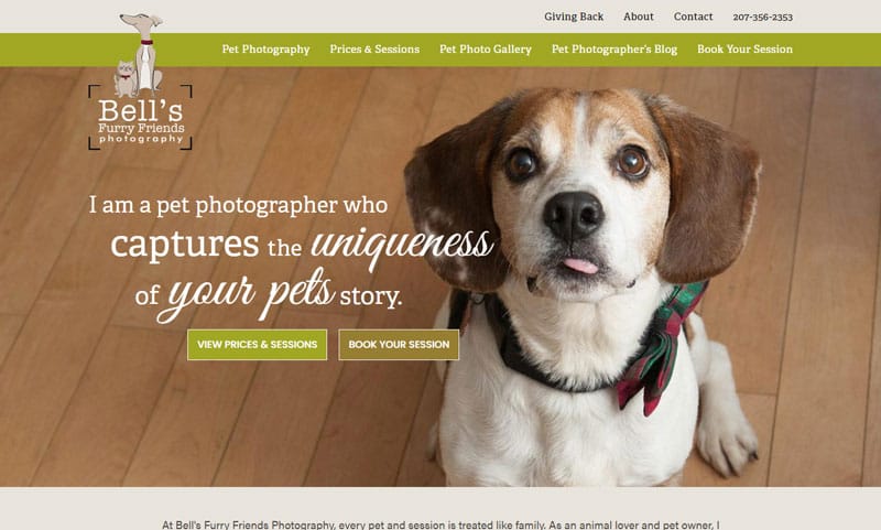 Bell’s Furry Friends Photography